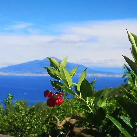 B&B Blu Vesuvius *