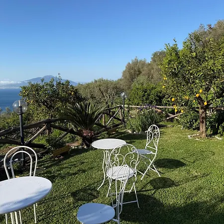 Blu Vesuvius B&B 소렌토