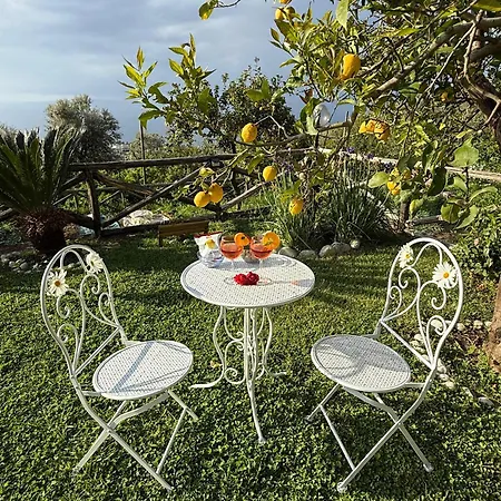 לינה וארוחת בוקר Blu Vesuvius סורנטו