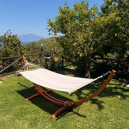 Blu Vesuvius לינה וארוחת בוקר 4*