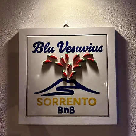 לינה וארוחת בוקר Blu Vesuvius