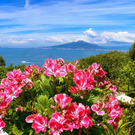 Blu Vesuvius Holiday home *
