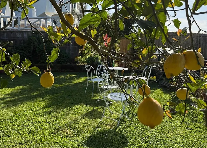 ベッド・アンド・ブレックファスト Blu Vesuvius