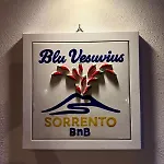 Dom wakacyjny Blu Vesuvius