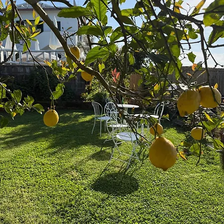 Ferienhaus Blu Vesuvius